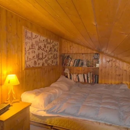 Orion 401 Au Centre A Vue Sur Les Alpes Daire *