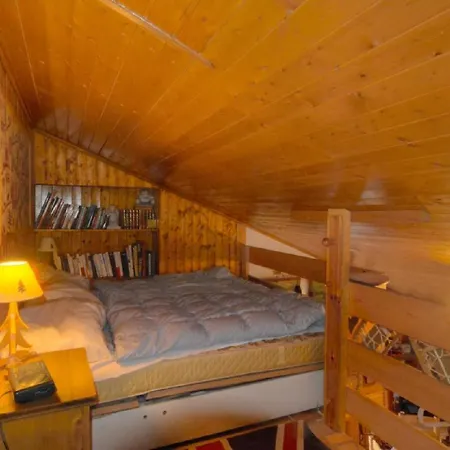 Orion 401 Au Centre A Vue Sur Les Alpes *