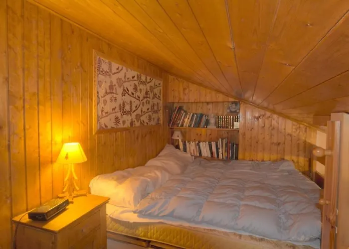 Orion 401 Au Centre A Vue Sur Les Alpes Daire *