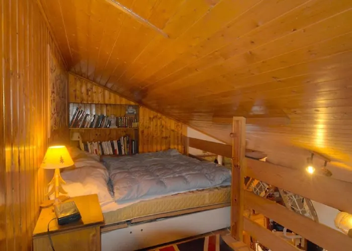 Orion 401 Au Centre A Vue Sur Les Alpes *